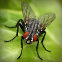 /album/www-gmai-com/photolia-a01-jpg/