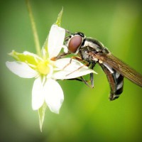 /album/www-gmai-com/photolia-a02-jpg/