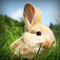 /album/www-gmai-com/photolia-a03-jpg/