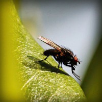 /album/www-gmai-com/photolia-a04-jpg/