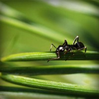 /album/www-gmai-com/photolia-a05-jpg/