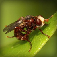 /album/www-gmai-com/photolia-a06-jpg/