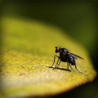 /album/www-gmai-com/photolia-a07-jpg/