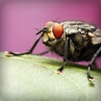 /album/www-gmai-com/photolia-a08-jpg/